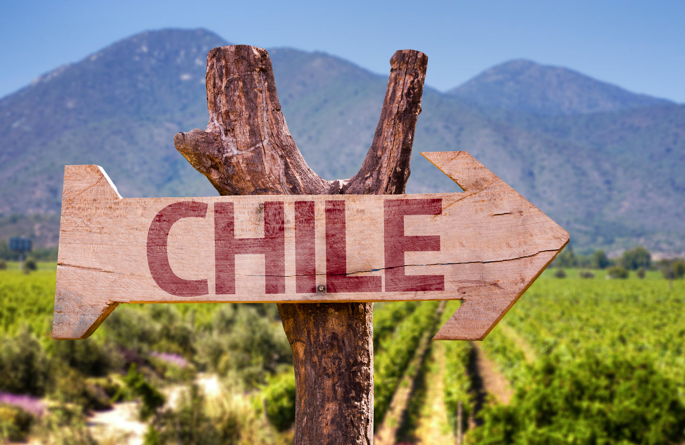 Von den Anden bis zum Pazifik: Chile